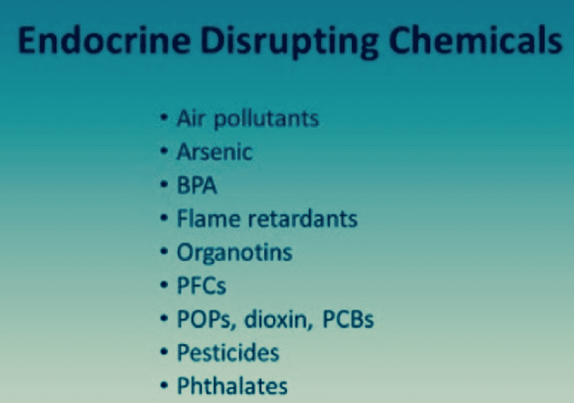 More on Endocrine Disruption