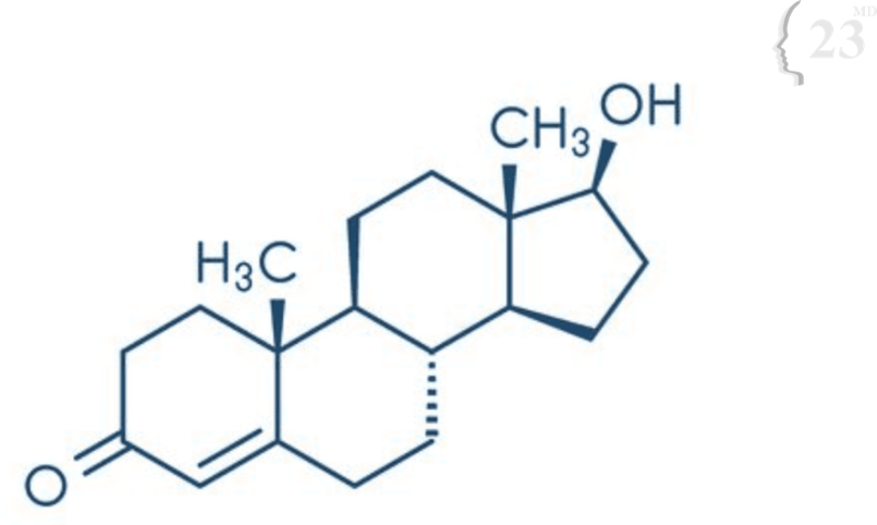 Raise Your Testosterone